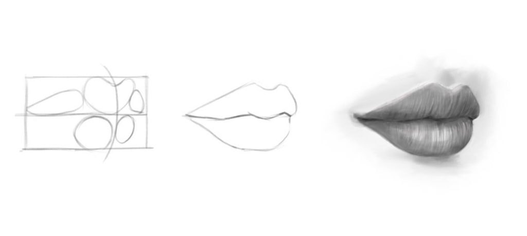 Diagram showing process to sketch lips from a 3/4 view