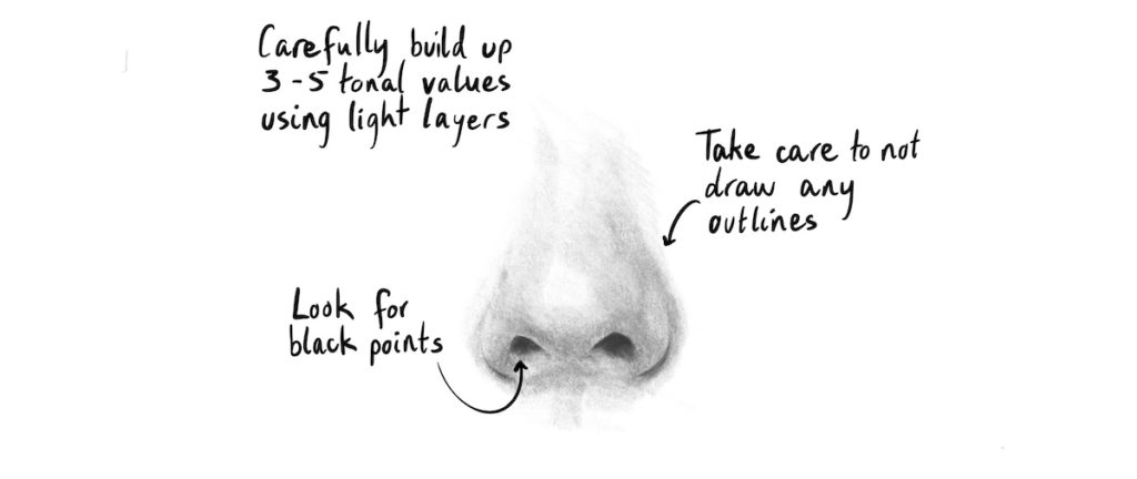 Fully shaded pencil drawing of a nose