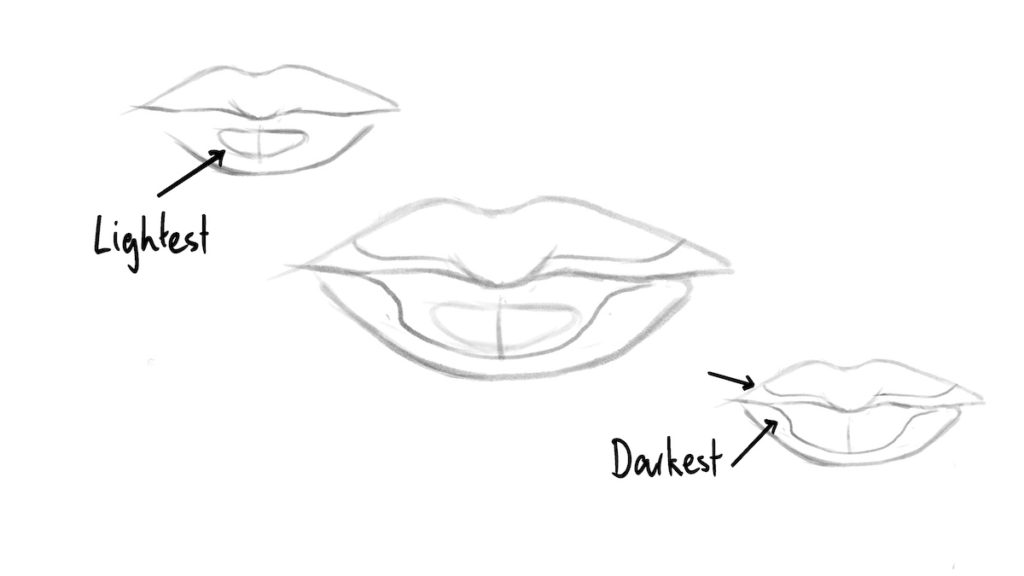 Diagram with arrows showing the lightest and darkest parts of the lips