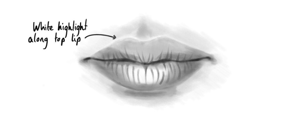 Drawing of front view of lips with arrow pointing to light top edge of the upper lip