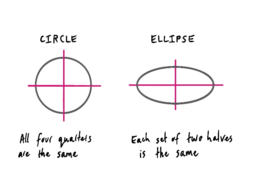 Diagram showing a circle and an ellipse both divided in half lengthwise and widthwise